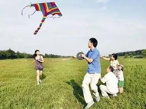 娱乐吃瓜酱风筝,揭秘娱乐圈背后的那些事儿