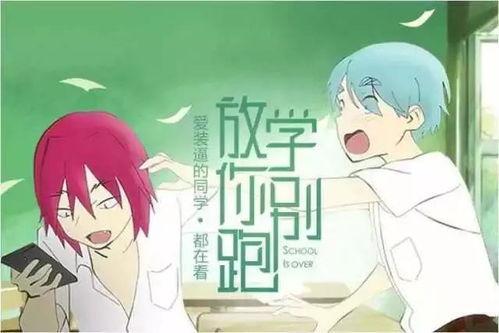 娱乐吃瓜酱爱是尽力而为