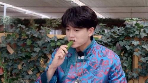 娱乐吃瓜呀任嘉伦,娱乐吃瓜界的“瓜王”